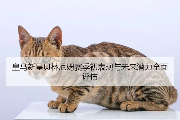 皇马新星贝林厄姆赛季初表现与未来潜力全面评估